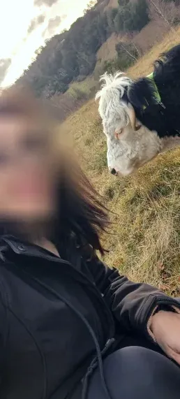 Simone, 38